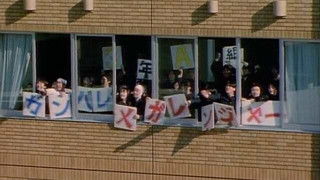 Seize it! Our Diplomas