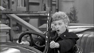 Lucy Learns to Drive