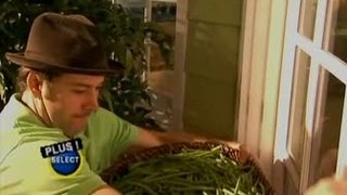Bean Stalker