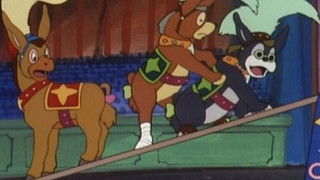 Fellow Members of the Circus