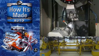 Top Five Countdowns: Weirdest