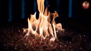 Burning the Remains of Life