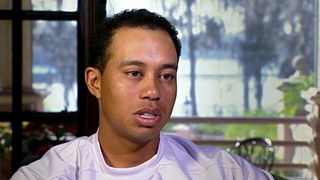 Tiger's Prints - Tiger's Cubs