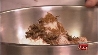 Bugs, Break Ups & Burned-out