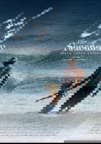 The Seashell