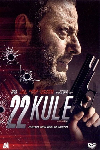 Okładka filmu 22 kule