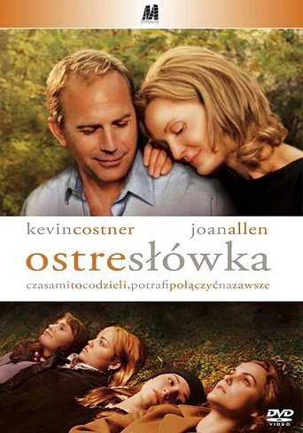 Okładka filmu Ostre słówka