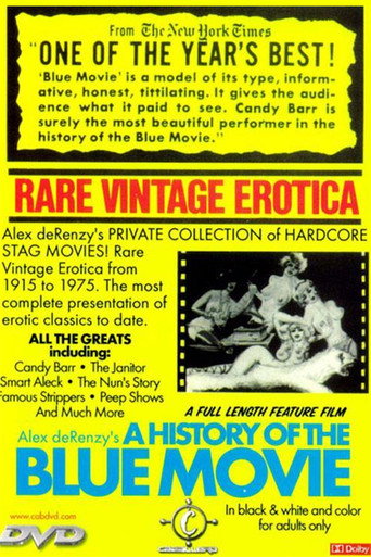 A History of the Blue Movie 在线观看和下载完整电影