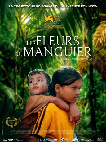 Affiche de Les Fleurs du manguier