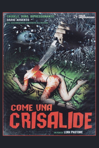 Okładka filmu Come Una Crisalide