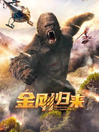 Okładka filmu 金刚归来