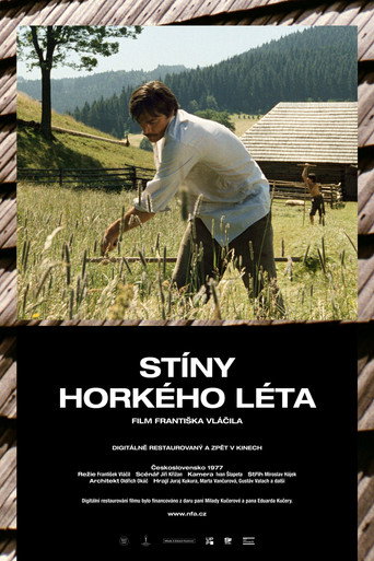 Okładka filmu Stíny horkého léta