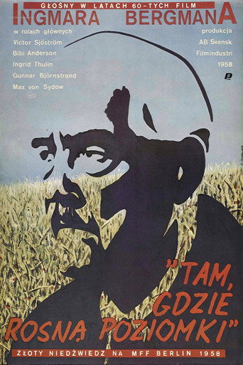 Okładka filmu Tam, gdzie rosną poziomki