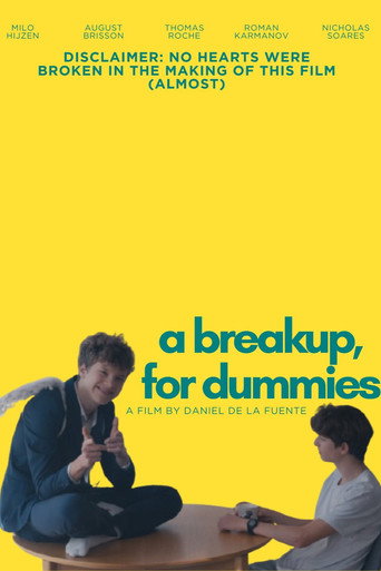 Okładka filmu A Breakup, for Dummies.
