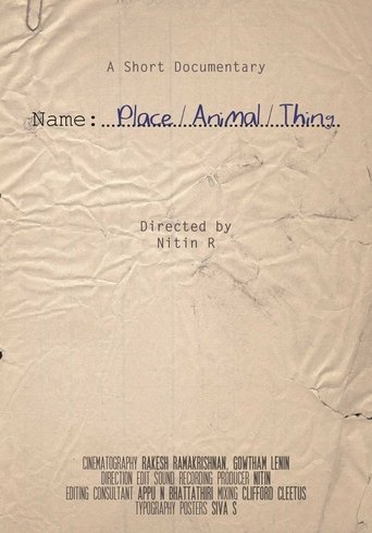 Name, Place, Animal, Thing