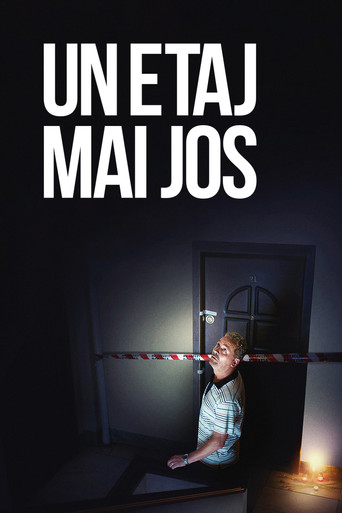 Okładka filmu Piętro niżej