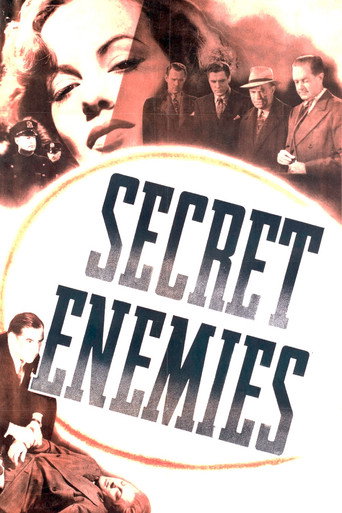 Secret Enemies 在线观看和下载完整电影