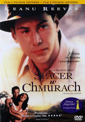 Okładka filmu Spacer w chmurach