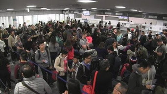 Lines and Lives at Airport Immigration