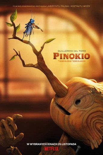 Okładka filmu Guillermo del Toro: Pinokio
