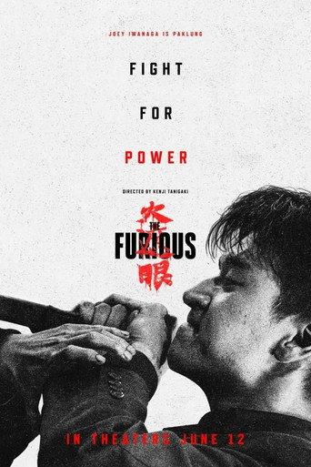 Okładka filmu The Furious