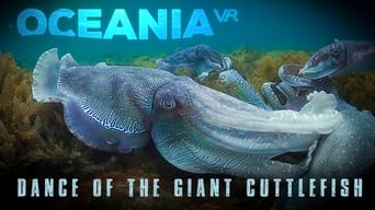 Dance Of The Giant Cuttlefish