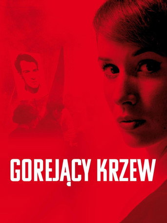 Okładka serialu Gorejący krzew