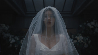 Never Get on One Knee