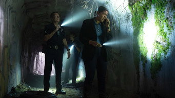 Tiger Bear episode still image