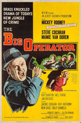 The Big Operator 在线观看和下载完整电影