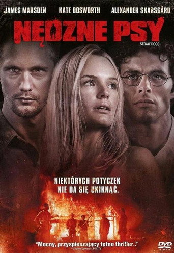 Okładka filmu Nędzne psy