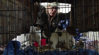 Wednesday, 10th January 2024 episode still image