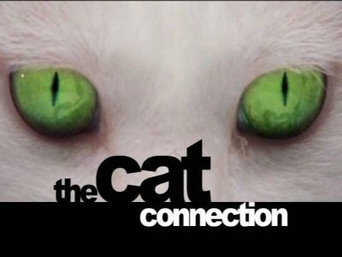 The Cat Connection