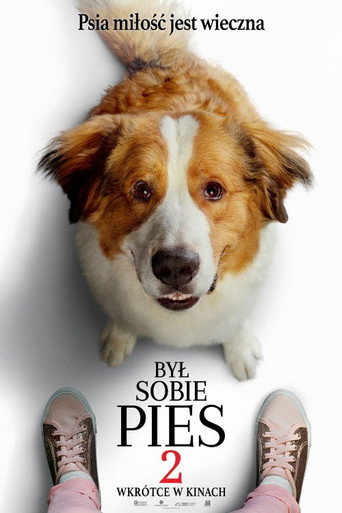 Okładka filmu Był sobie pies 2