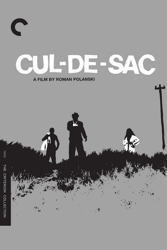 Cul-de-sac 在线观看和下载完整电影