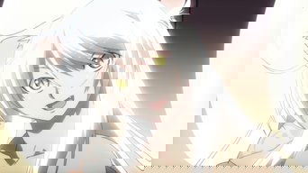 Tsubasa Cat (4)