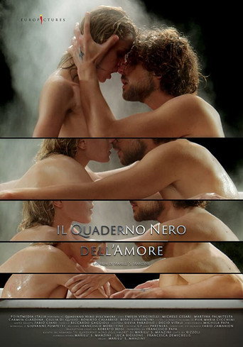 Okładka filmu Il quaderno nero dell'amore