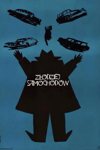 Okładka filmu Złodziej samochodów