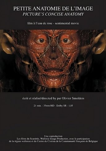 Petite anatomie de l'image