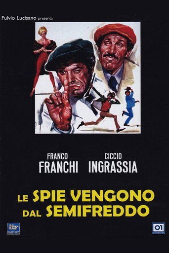 Le spie vengono dal semifreddo 在线观看和下载完整电影
