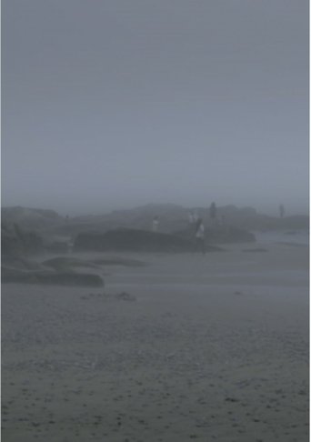 The Fog Has Covered The Moment Again