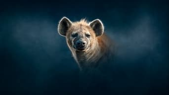 Hyena