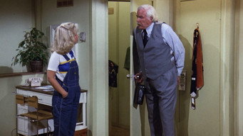 The Old Man and the Runaway/A Fine Romance/The Painters episode still image