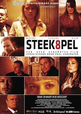 Okładka filmu Steekspel