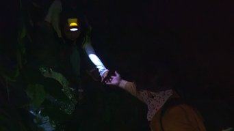 Capa de Beyond Utopia