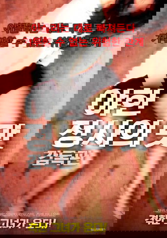 Taste of a Sexy Affair - Director's Cut