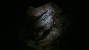 Diaries - Into the Abyss