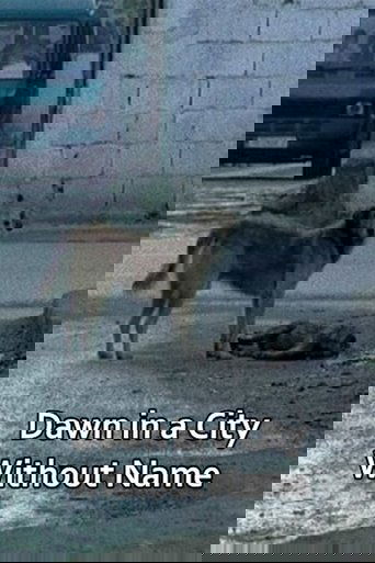 Dawn in a City Without Name