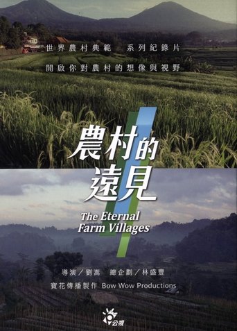 农村的远见