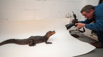 Wildlife Photographer: Joel Sartore